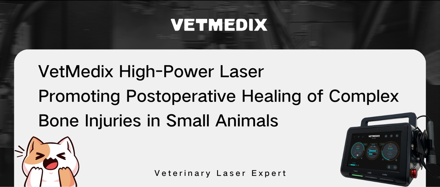 VetMedix Case Sharing丨Høj-effekt laserbehandling af sekundær tibiofibulær fraktur hos dyr