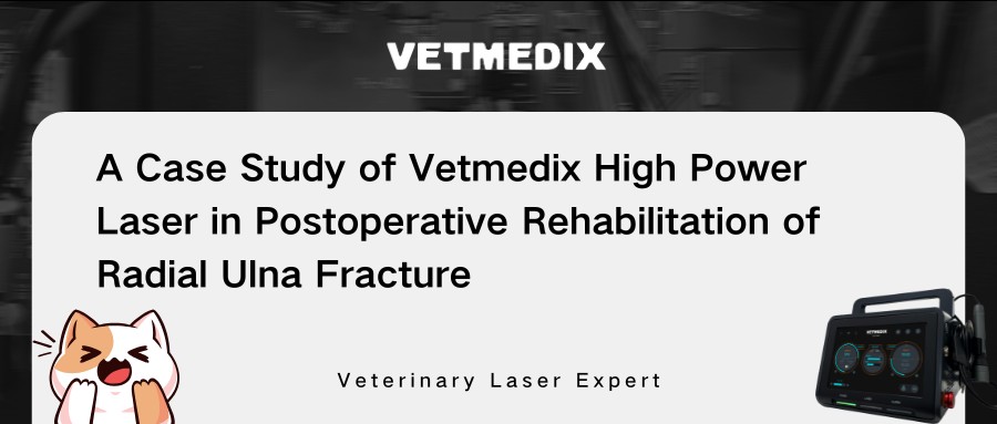 VetMedix Case-deling 丨 Laserterapi med høj effekt i den postoperative rehabilitering af radial ulna-brud