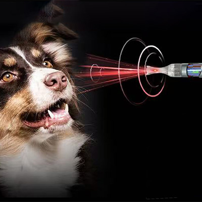 Hvorfor bruge klasse IV laser i veterinærmedicin?